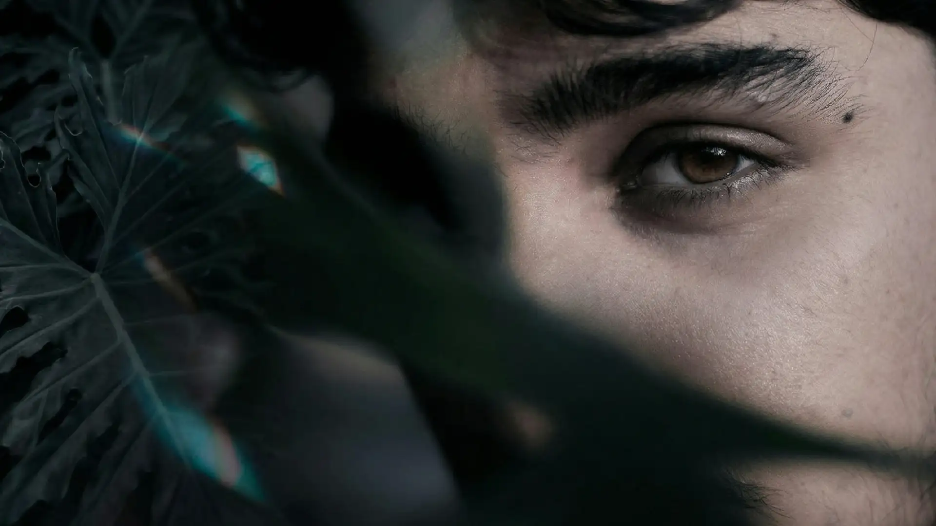 męska regulacja brwi